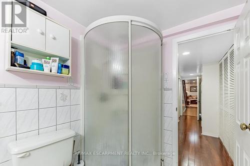 11 Alma Avenue, Toronto (Little Portugal), ON - Indoor Photo Showing Bathroom