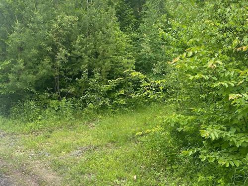 Land/Lot - Rue Raoul, Saint-Colomban, QC 