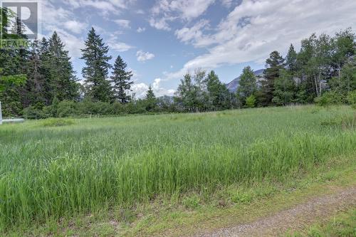 2591 Settlement  Road, Lister, BC - Outdoor With View