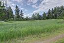 2591 Settlement  Road, Lister, BC  - Outdoor With View 