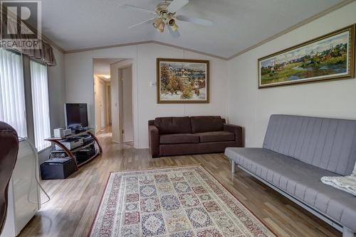 2591 Settlement  Road, Lister, BC - Indoor Photo Showing Living Room