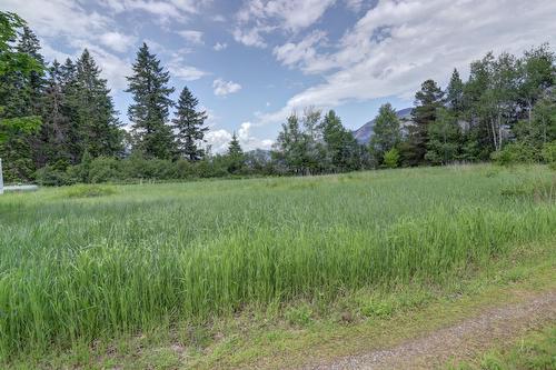 2591 Settlement Road, Lister, BC - Outdoor With View