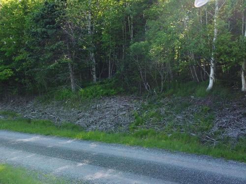 Lot 04-12 Nature Dream P Boulevard, Roberta, NS 