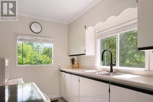 43 Sturgeon Glen Road, Kawartha Lakes, ON - Indoor Photo Showing Kitchen With Double Sink