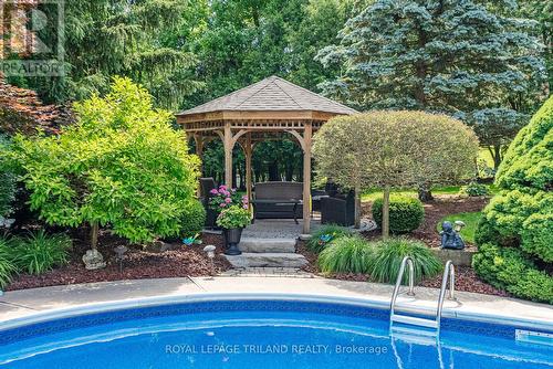 247 Delta Place, London, ON - Outdoor With In Ground Pool With Backyard
