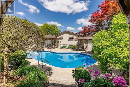 247 Delta Place, London, ON - Outdoor With In Ground Pool