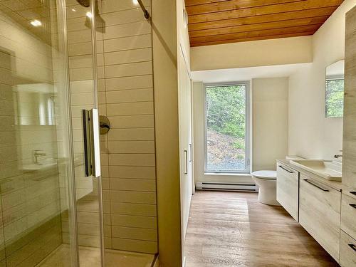 Salle de bains - 217 Ch. Des Randonneurs, La Conception, QC - Indoor Photo Showing Bathroom