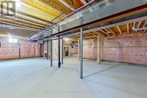 61 Pond View Gate, Hamilton (Waterdown), ON - Indoor Photo Showing Basement