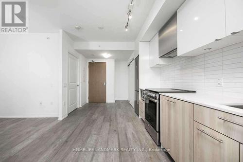 3102 - 251 Jarvis Street, Toronto, ON - Indoor Photo Showing Kitchen With Upgraded Kitchen