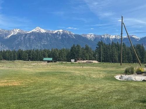 4470 Moan Road, Skookumchuck, BC - Outdoor With View