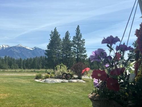 4470 Moan Road, Skookumchuck, BC - Outdoor With View