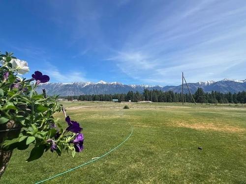 4470 Moan Road, Skookumchuck, BC - Outdoor With View