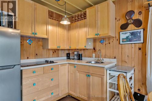 852 Isl 8, Galway-Cavendish And Harvey, ON - Indoor Photo Showing Kitchen