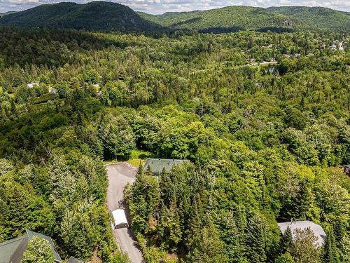 Autre - 1729 Rue Gaston, Val-David, QC - Outdoor With View