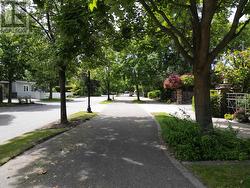 Abbott St Recreation Corridor - 