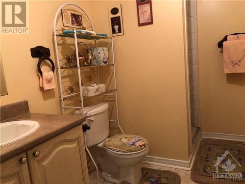 60 Brightside Avenue, Stittsville, ON - Indoor Photo Showing Bathroom