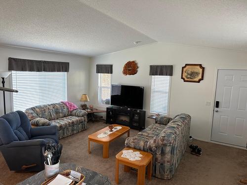 4506 Moan Road, Wasa, BC - Indoor Photo Showing Living Room