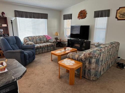 4506 Moan Road, Wasa, BC - Indoor Photo Showing Living Room