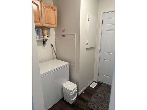 4506 Moan Road, Wasa, BC - Indoor Photo Showing Laundry Room