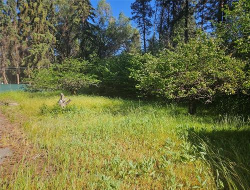 305 & 295 Clarissa Road, Kelowna, BC - Outdoor With View