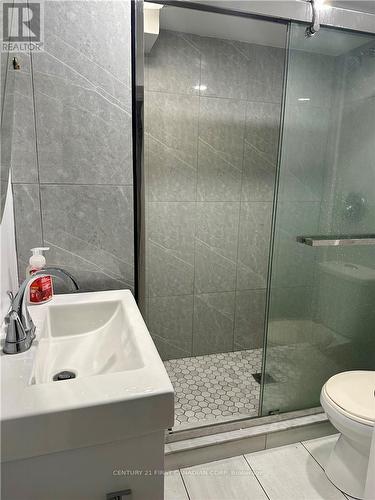 Lower - 139 Britannia Avenue, London, ON - Indoor Photo Showing Bathroom