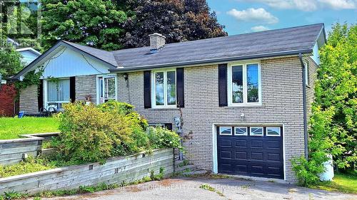 1377 Old Green Lane E, East Gwillimbury, ON - Outdoor