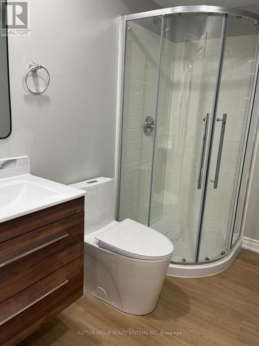 Lower - 244 Riel Drive, Mississauga, ON - Indoor Photo Showing Bathroom