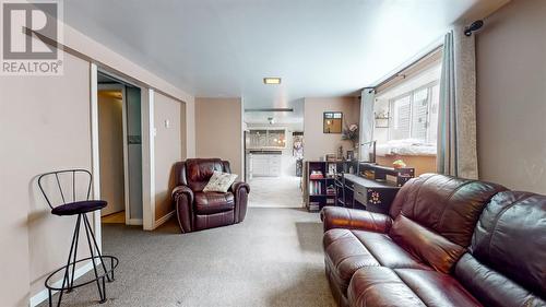 12 Burin Street, St. John'S, NL - Indoor Photo Showing Living Room