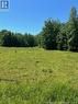 Lot Ridge Road, Chipman, NB 