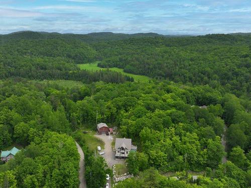 Vue d'ensemble - 135 Ch. Blackburn, Val-Des-Monts, QC - Outdoor With View