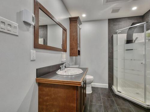 Bathroom - 294 Rue Bellevue, Saint-Donat, QC - Indoor Photo Showing Bathroom