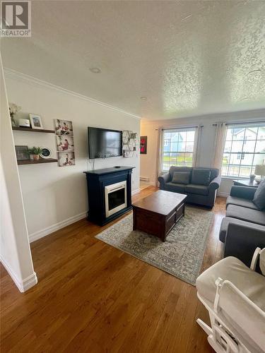 21 Smallwood Drive, Channel-Port Aux Basques, NL - Indoor Photo Showing Living Room With Fireplace