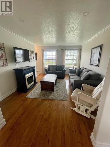 21 Smallwood Drive, Channel-Port Aux Basques, NL - Indoor Photo Showing Living Room With Fireplace