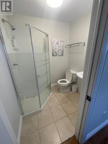 21 Smallwood Drive, Channel-Port Aux Basques, NL - Indoor Photo Showing Bathroom