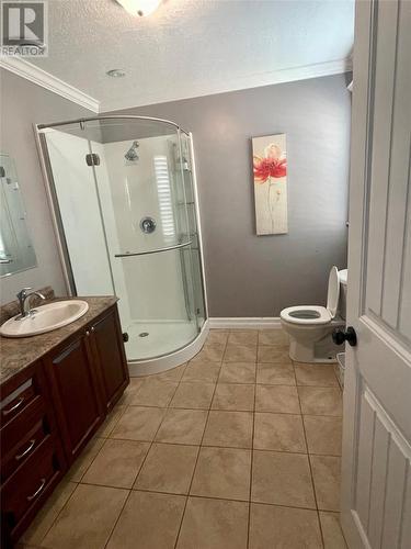 21 Smallwood Drive, Channel-Port Aux Basques, NL - Indoor Photo Showing Bathroom