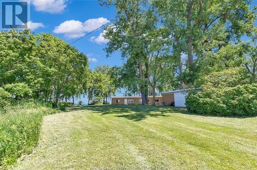 67 East Shore Road, Pelee Island, ON - Outdoor