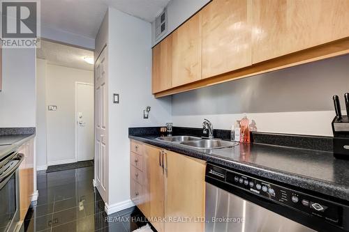 8E - 86 Gerrard Street E, Toronto, ON - Indoor Photo Showing Kitchen With Double Sink