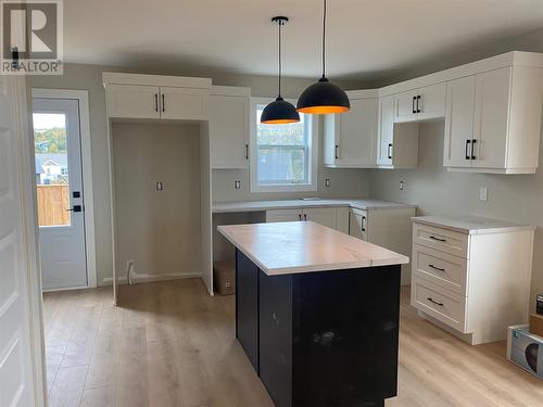 13 Carol Crescent, Paradise, NL - Indoor Photo Showing Kitchen