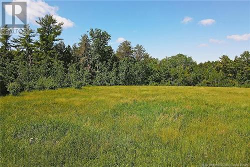 1210 Bridge Drive, Cambridge-Narrows, NB - Outdoor With View