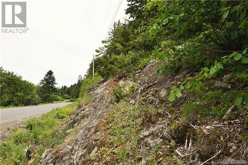 - Bunker Hill Road, Wilsons Beach, NB 