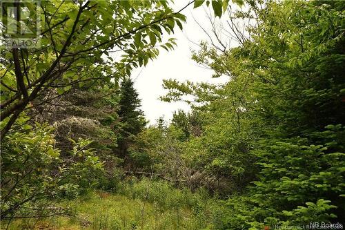 - Bunker Hill Road, Wilsons Beach, NB 