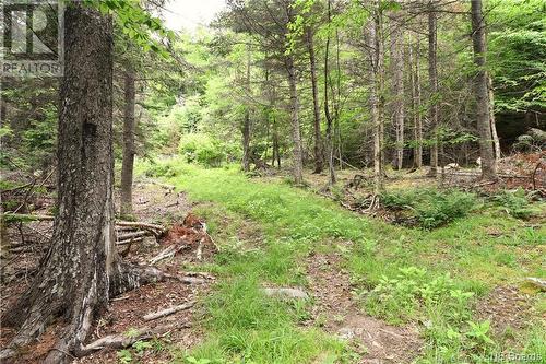 - Bunker Hill Road, Wilsons Beach, NB 