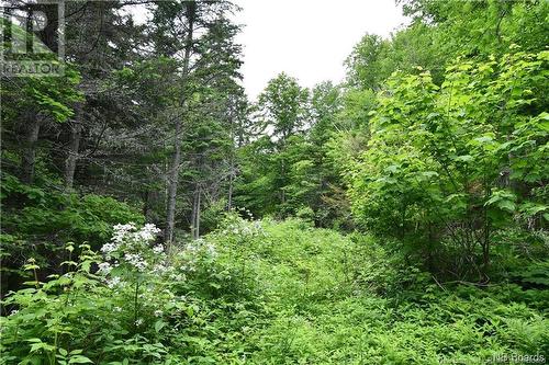 - Bunker Hill Road, Wilsons Beach, NB 