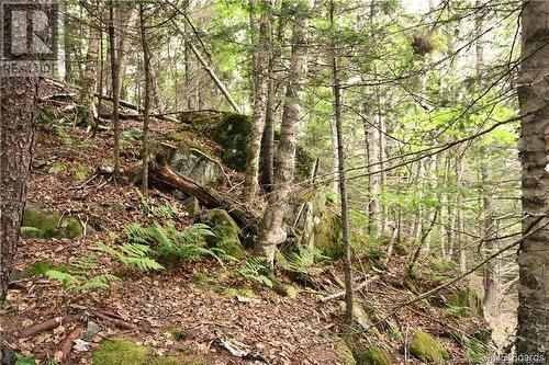 - Bunker Hill Road, Wilsons Beach, NB 