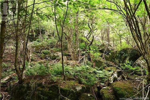 - Bunker Hill Road, Wilsons Beach, NB 