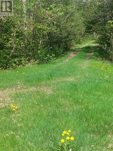 Nn Goobies Road, Culls Harbour, NL 