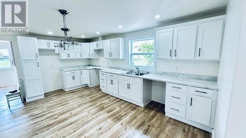 9 Aspen Lane, Springdale, NL - Indoor Photo Showing Kitchen With Double Sink