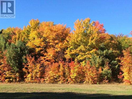 595 Old Goulais Bay Rd, Sault Ste. Marie, ON - Outdoor With View