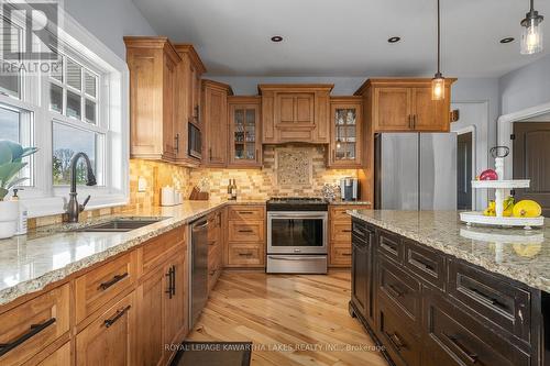 95 Centreline Road, Kawartha Lakes, ON - Indoor Photo Showing Kitchen With Double Sink With Upgraded Kitchen