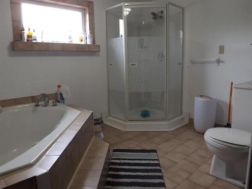 118 Maple Crescent, Atikokan, ON - Indoor Photo Showing Bathroom